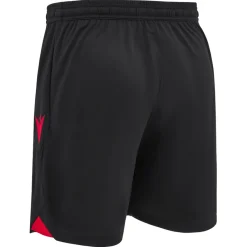 Albanien macron Authentic Herren Heim Shorts 40005150