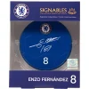 Chelsea FC Enzo Fernandez #8 Fußball Sammlerstück 14 cm 850056417068