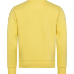 ellesse Crew Herren Sweatshirt SBL21360-603