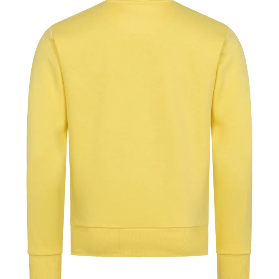 ellesse Crew Herren Sweatshirt SBL21360-603