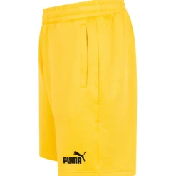 Ghana PUMA FtblCulture Herren Short 772468-08
