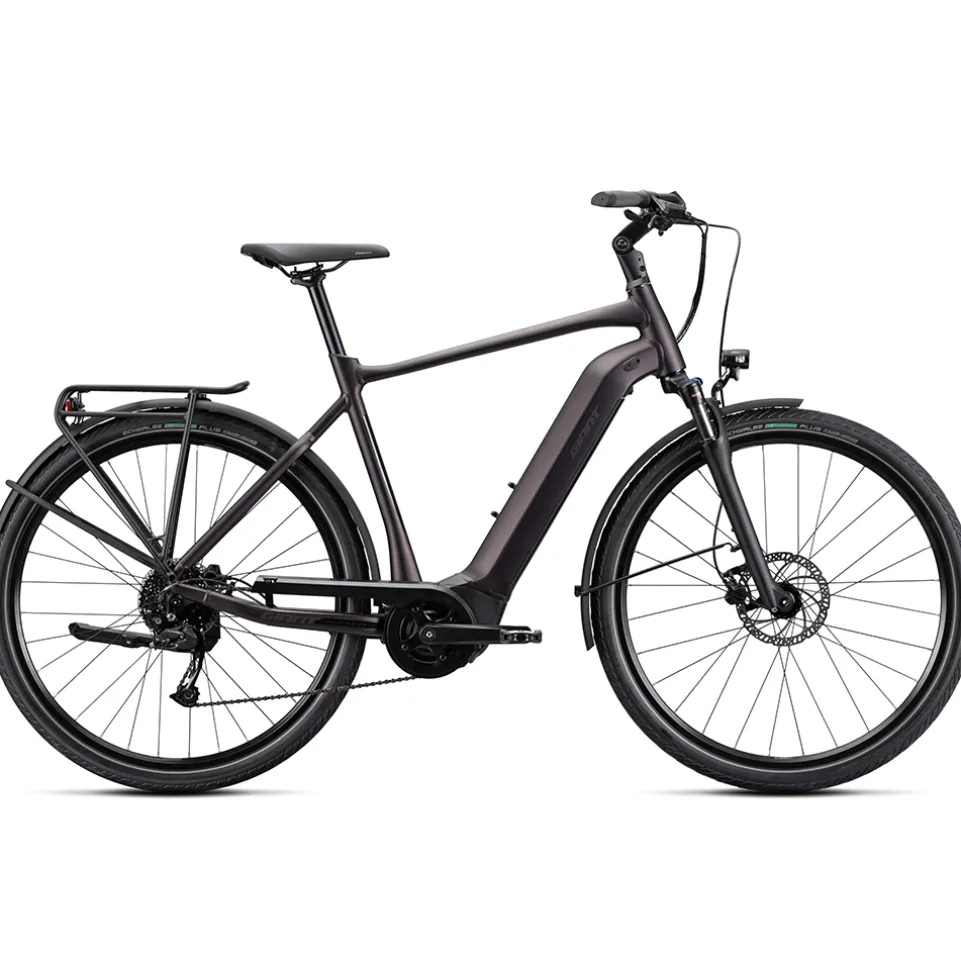 GIANT DailyTour E+ 3 E-City Fahrrad 230322219