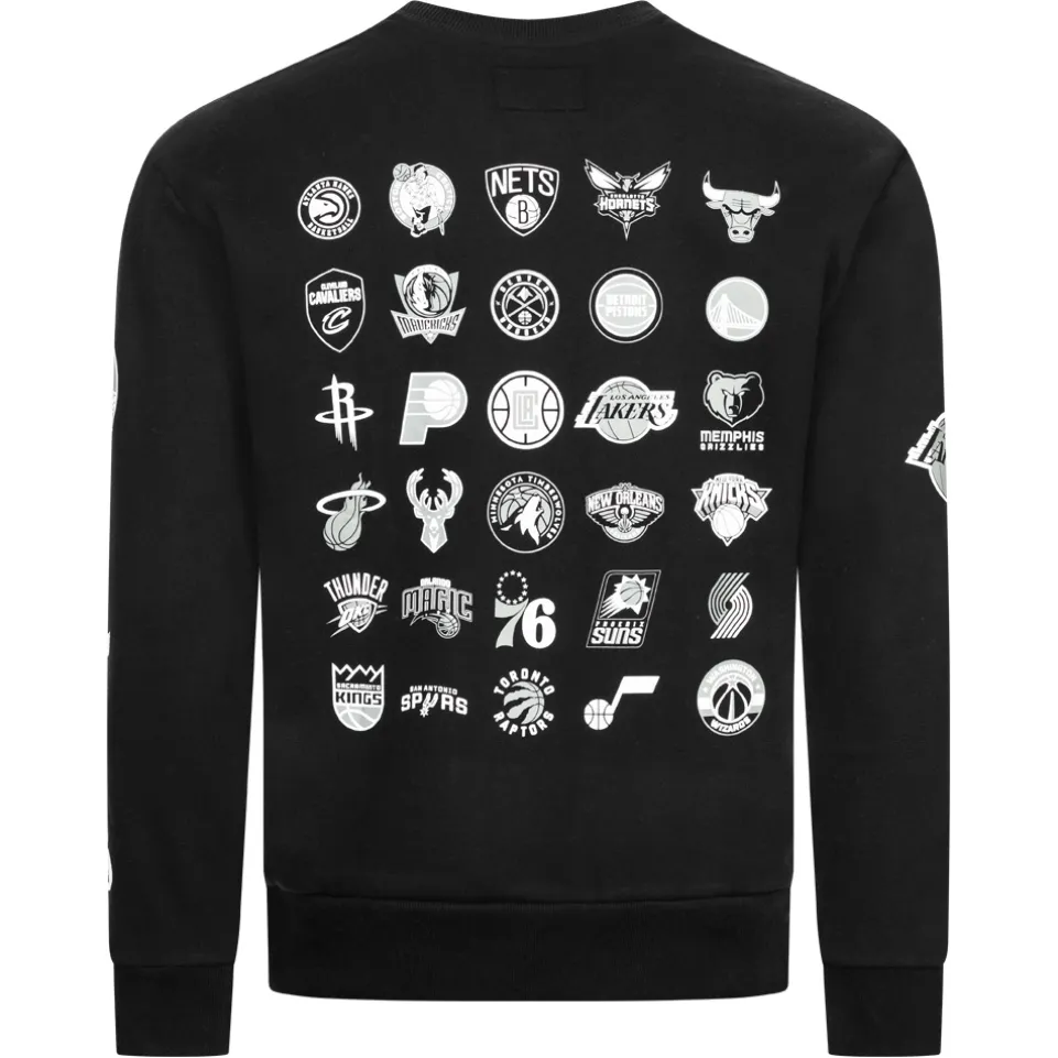 Hollister x NBA All Team Collab Herren Sweatshirt 322-221-1592-908