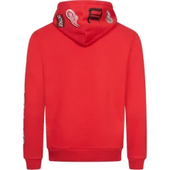 Hollister x NHL Detroit Red Wings Herren Hoodie 322-221-1606-500