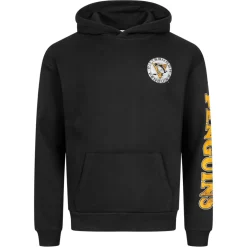 Hollister x NHL Pittsburgh Pinguins Herren Hoodie 322-221-1606-900