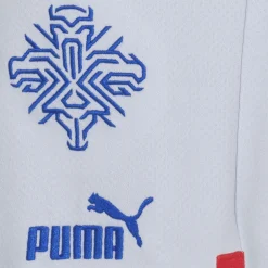 Island PUMA Herren Auswärts Shorts 766069-02