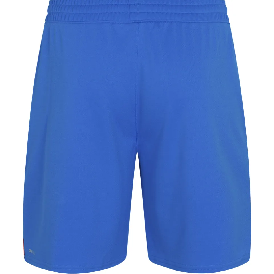 Island PUMA Herren Heim Shorts 766069-01