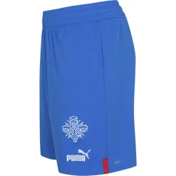 Island PUMA Herren Heim Shorts 766069-01