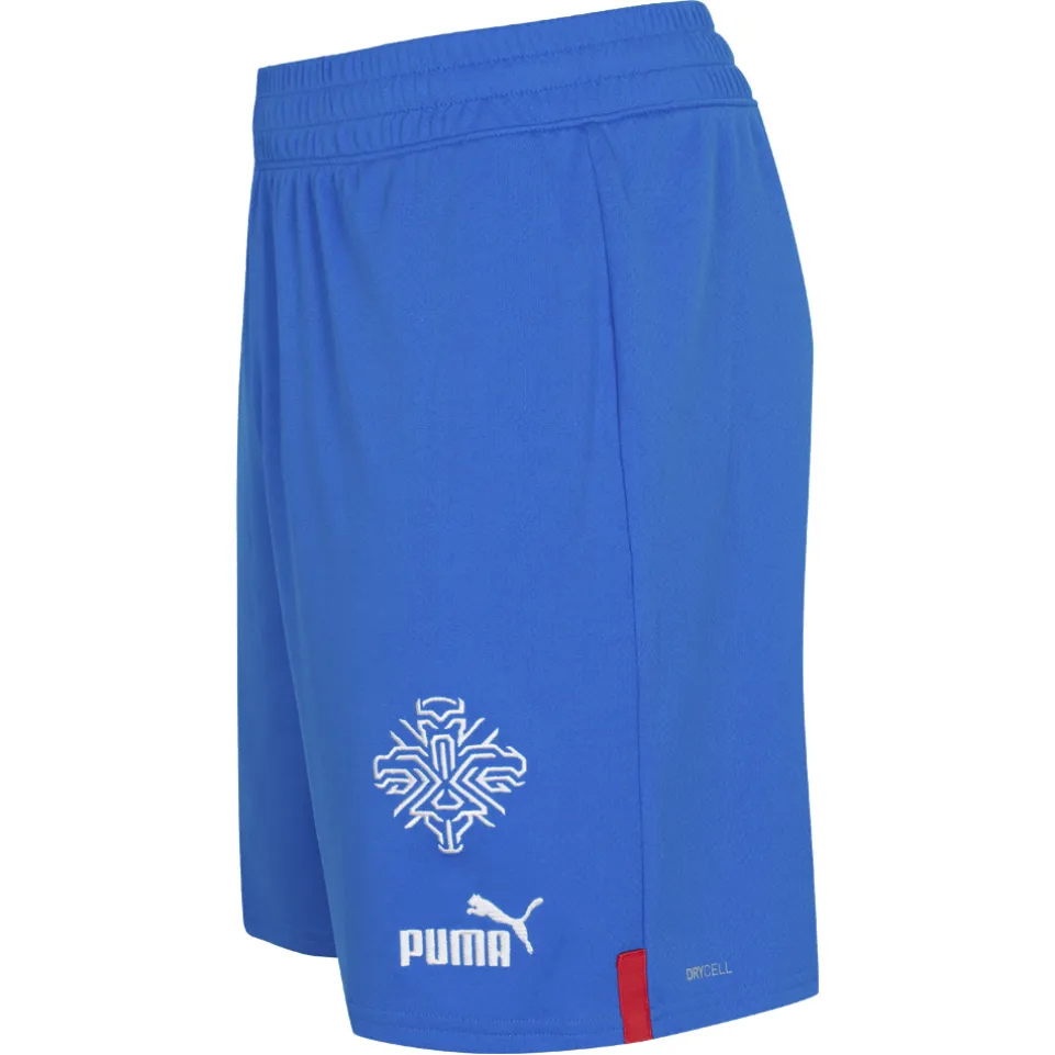 Island PUMA Herren Heim Shorts 766069-01