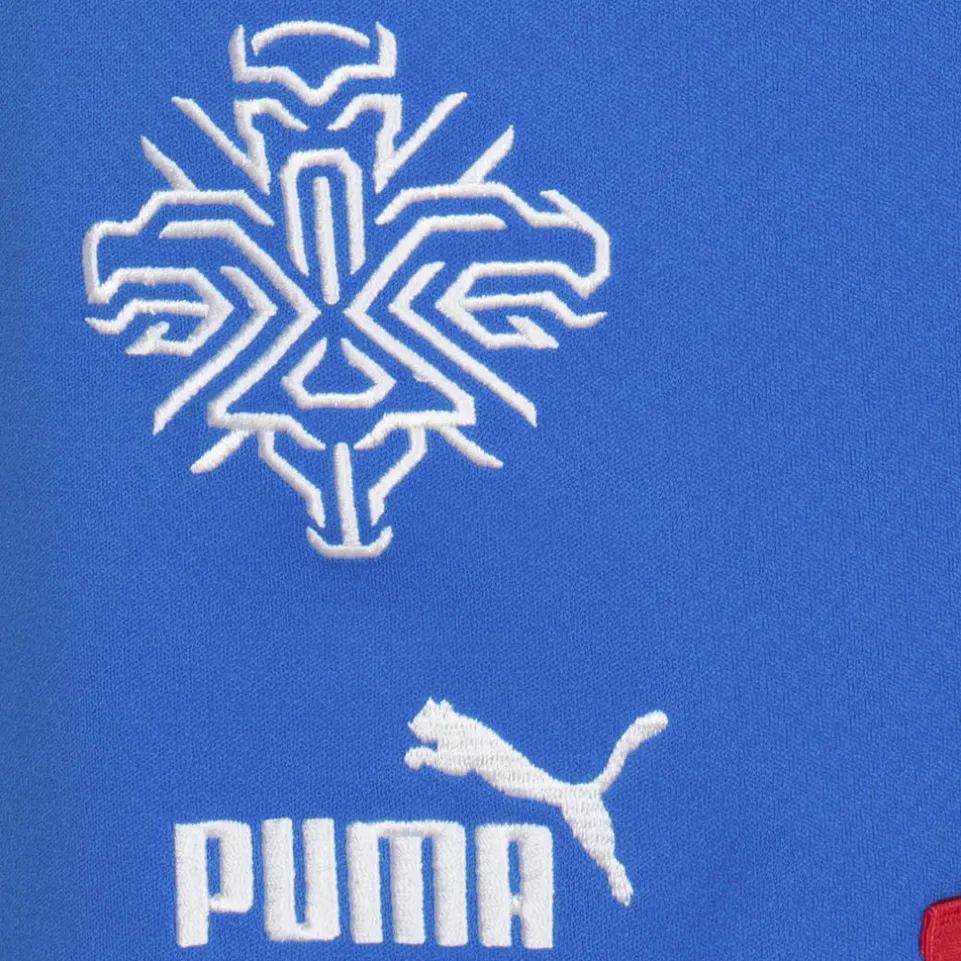 Island PUMA Herren Heim Shorts 766069-01