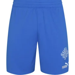 Island PUMA Herren Heim Shorts 766069-01
