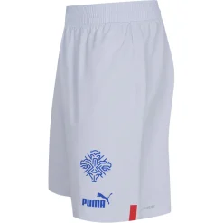 Island PUMA Herren Player Issue Authentic Spieler Shorts 705318-02