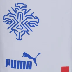 Island PUMA Herren Player Issue Authentic Spieler Shorts 705318-02