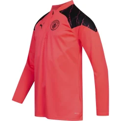 Manchester City PUMA Training 1/4-Zip Herren Sweatshirt 772858-17