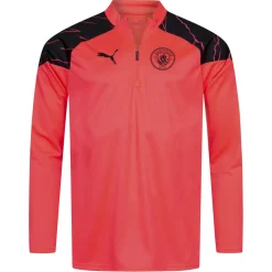 Manchester City PUMA Training 1/4-Zip Herren Sweatshirt 772858-17