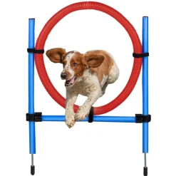 maxxpro Agility Spring Ring - Set Agility für Hunde 47433