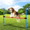 maxxpro Agility Spring Stick - Set Agility für Hunde 47432