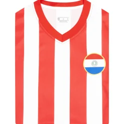 Paraguay "Retro History" JELEX Herren Trikot