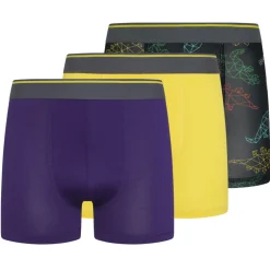 Parker & Fox Performance Kinder Boxershorts 3er-Pack PRXFA24B151642-014