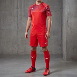PUMA CUP Jersey Herren Trikot 704066-01