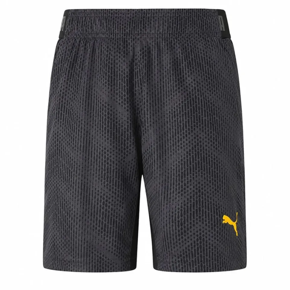 PUMA FTBLnxt Graphic Kinder Shorts 657019-04