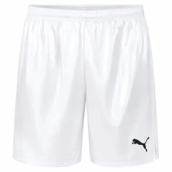 PUMA Game Herren Shorts 900410-13