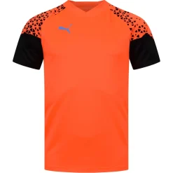 PUMA individualCUP Training Herren Trikot 658289-50