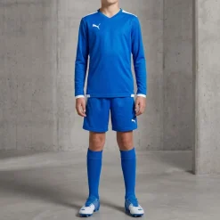 PUMA Pitch Kinder Langarm Trikot 702088-02J