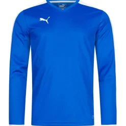 PUMA Pitch Kinder Langarm Trikot 702088-02J