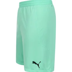 PUMA teamFINAL Herren Training Shorts 704257-21
