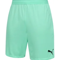 PUMA teamFINAL Herren Training Shorts 704257-21
