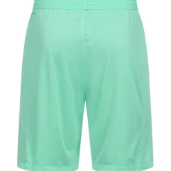 PUMA teamFINAL Herren Training Shorts 704257-21
