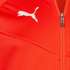 PUMA teamFINAL Herren Trainingsjacke 657378-01