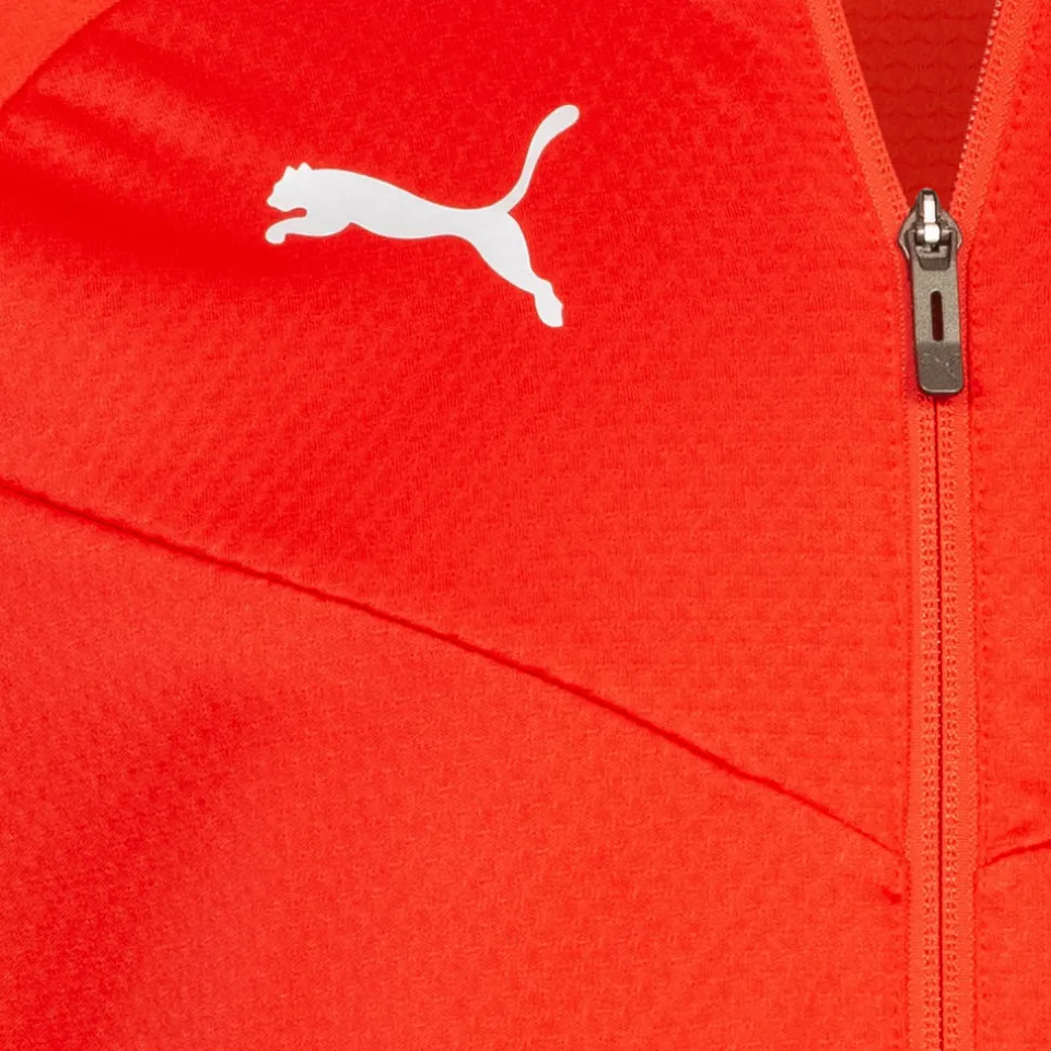 PUMA teamFINAL Herren Trainingsjacke 657378-01