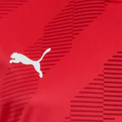 PUMA teamGLORY Jersey Herren Trikot 705017-01