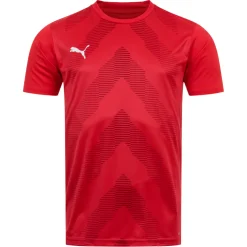 PUMA teamGLORY Jersey Herren Trikot 705017-01