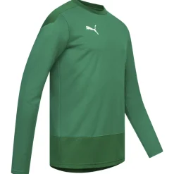 PUMA teamGOAL Herren Training Sweatshirt 656478-05