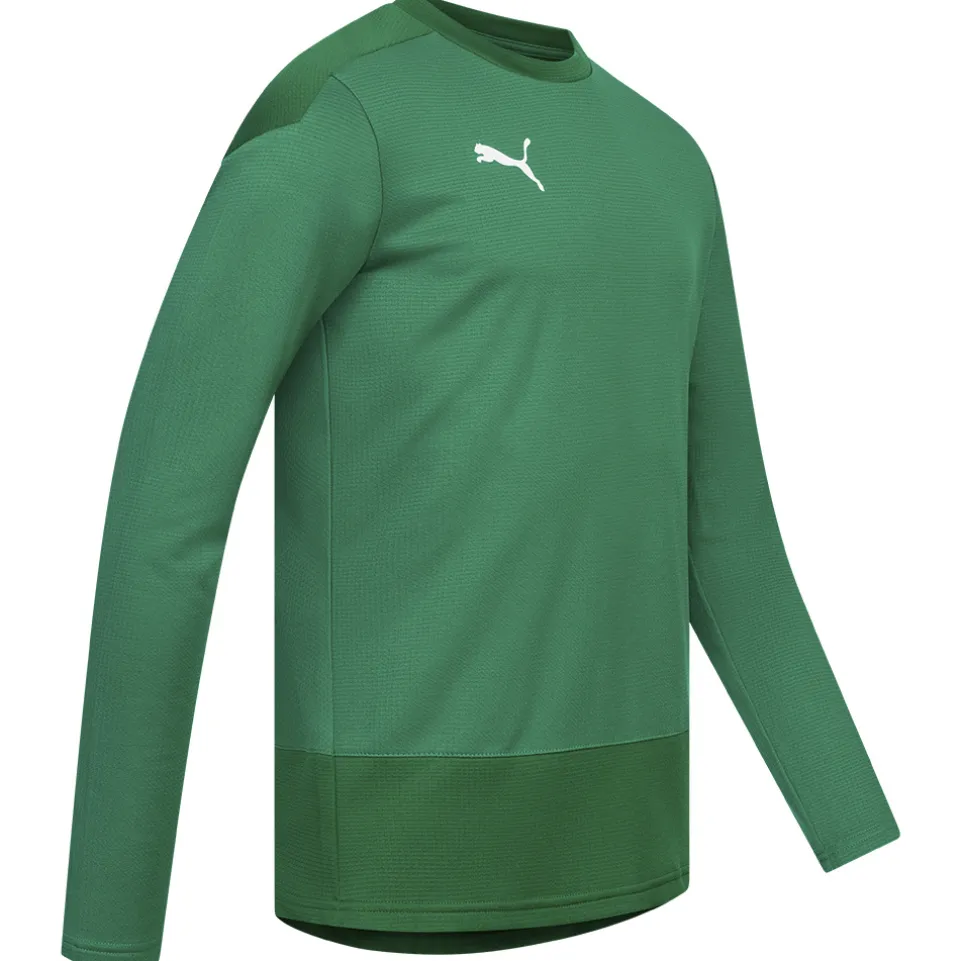 PUMA teamGOAL Herren Training Sweatshirt 656478-05