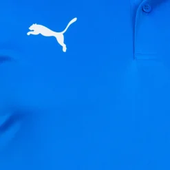 PUMA teamGOAL Sideline Herren Polo-Shirt 656577-02