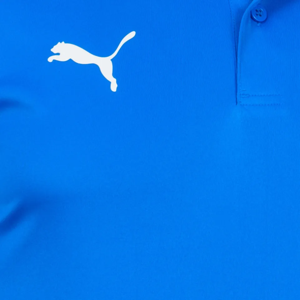 PUMA teamGOAL Sideline Herren Polo-Shirt 656577-02
