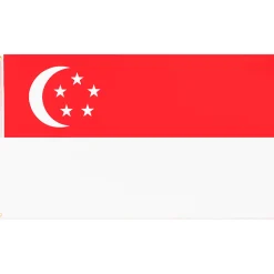 Singapur MUWO "Nations Together" Flagge 90x150cm
