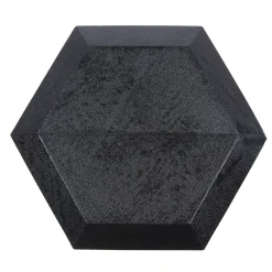 SPORTINATOR 30 kg Hexagon Hantel