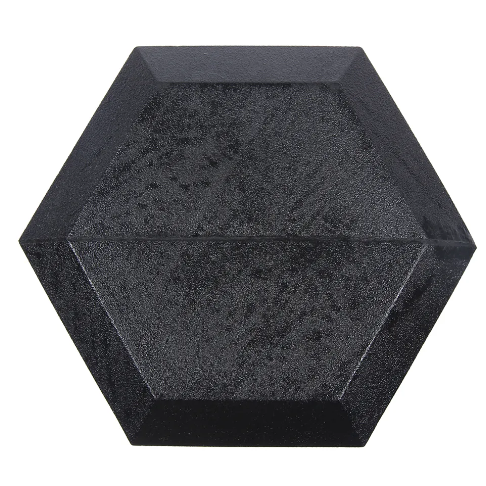 SPORTINATOR 30 kg Hexagon Hantel
