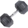 SPORTINATOR 20 kg Hexagon Hantel