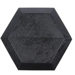 SPORTINATOR 25 kg Hexagon Hantel