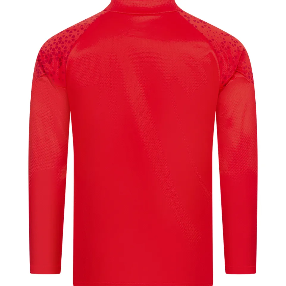 Stade Rennes FC PUMA Herren Training Sweatshirt 772433-01