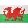 Wales Flagge MUWO "Nations Together" 90 x 150 cm