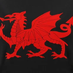 Wales WRU macron Rugby Damen T-Shirt 58195717