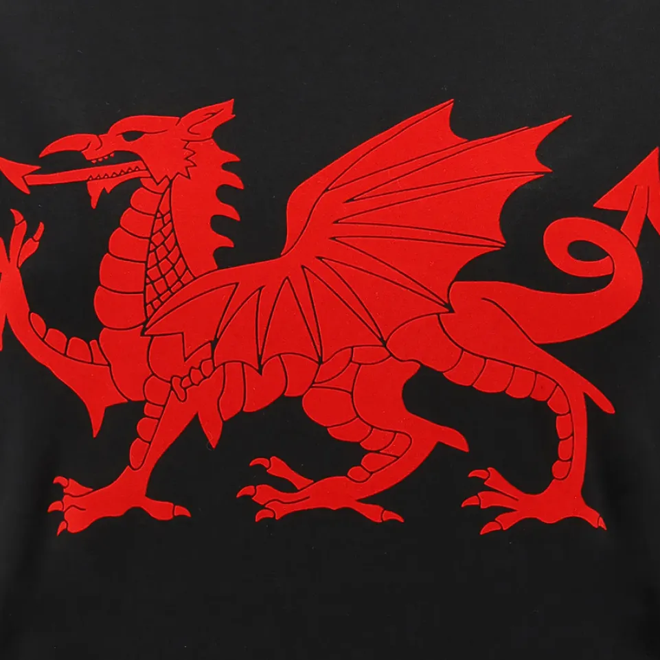 Wales WRU macron Rugby Damen T-Shirt 58195717