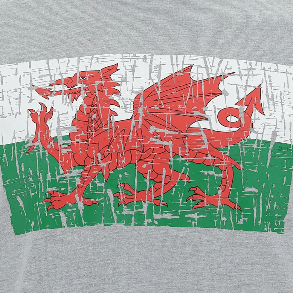 Wales WRU macron Rugby Herren T-Shirt 58195704
